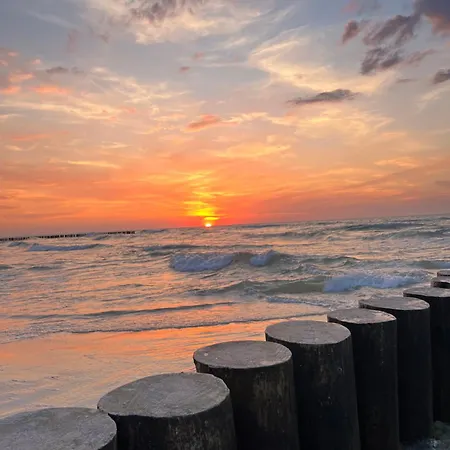 Blue Wave Horizon دجيفنوفيك